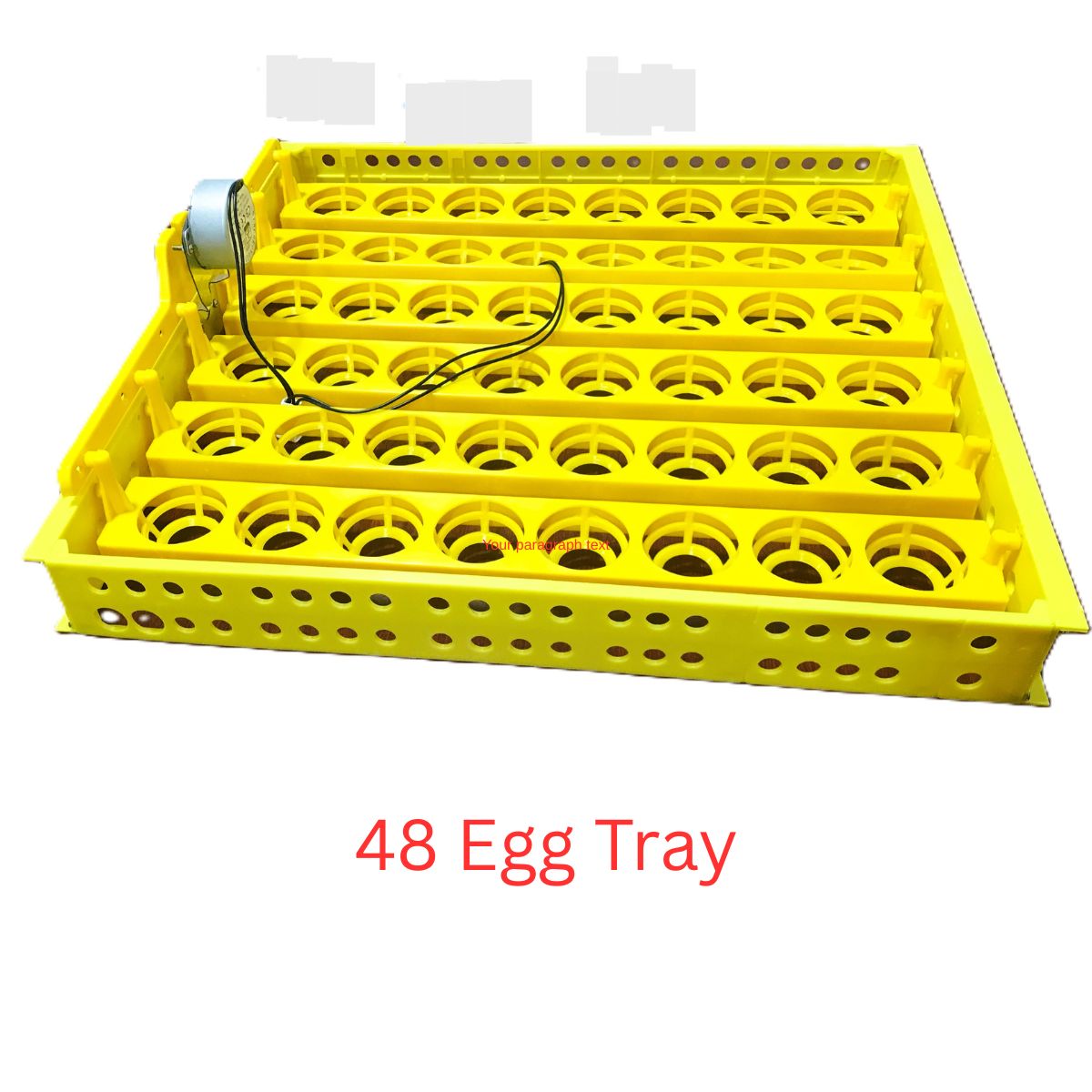 48-Egg Automatic Turning Tray for Incubators – High Hatch Rate & Easy Setup