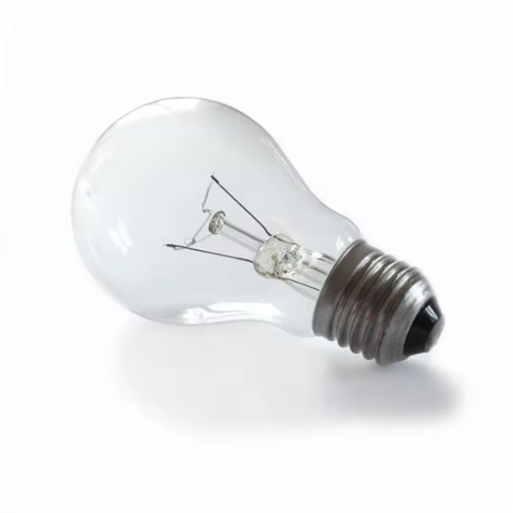 BT E26 A19 Edison Heating Lamp 40W for Incubator